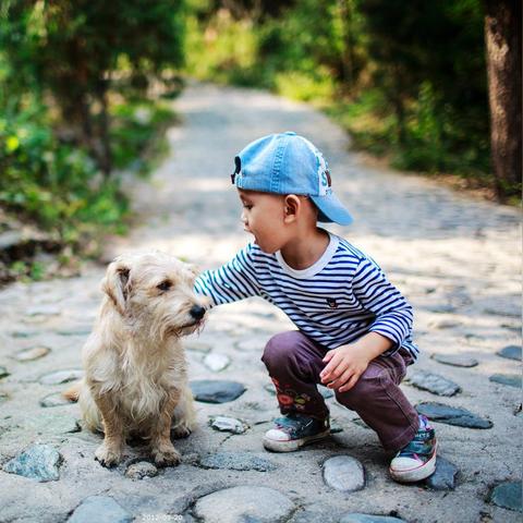 《龙之信条2》周年无更新，粉丝喊：解救被抛弃的我们！