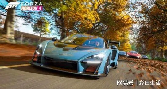 极限竞速黑屏解法，快速解决！