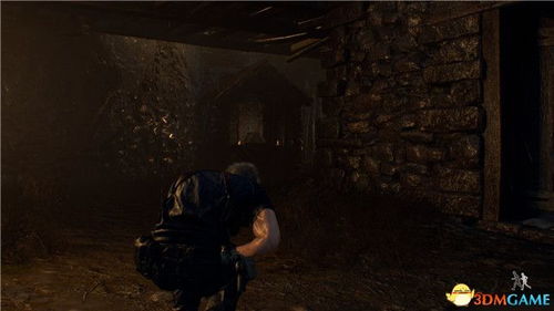 生化4重制版山庄围攻BOSS攻略，轻松通关！