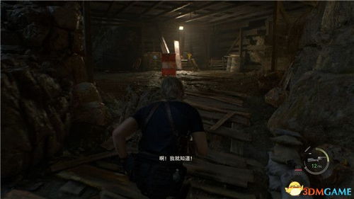 生化4重制版虫巢攻略：快速通关技巧揭秘