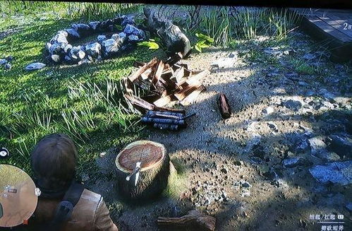 荒野大镖客2石刻7位置在哪？石雕7攻略揭秘