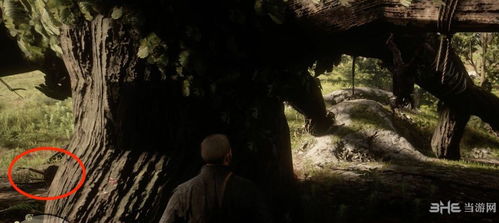 荒野大镖客2变态杀手线索地图位置在哪攻略