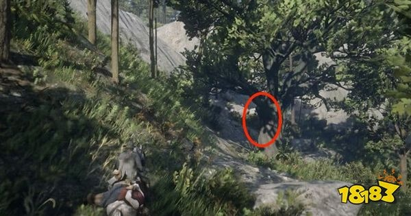 荒野大镖客2奇克藏宝图位置在哪攻略