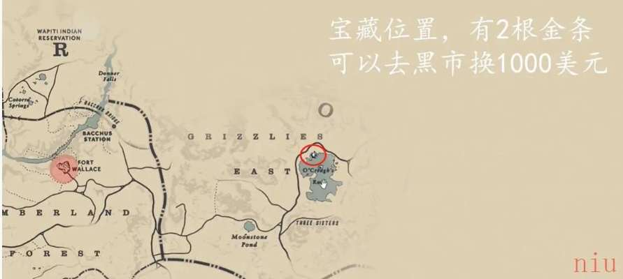 荒野大镖客2杰克霍尔帮藏宝图3位置在哪攻略