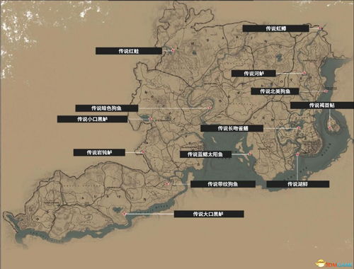 荒野大镖客2蒂莫西多纳休位置速查攻略