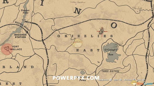 荒野大镖客2蒂莫西多纳休位置速查攻略