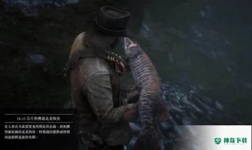 荒野大镖客2传说河鲈位置攻略，快速找到！