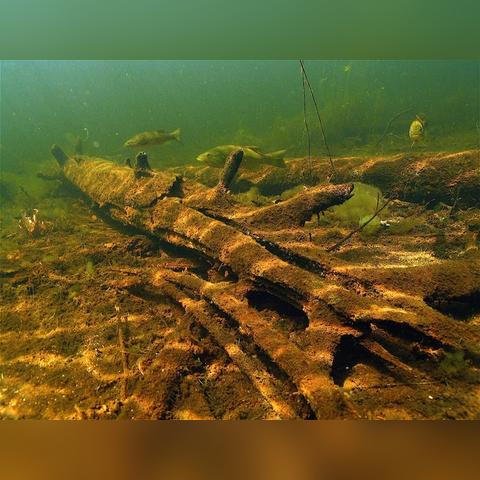 荒野大镖客2传说小口黑鲈位置在哪攻略