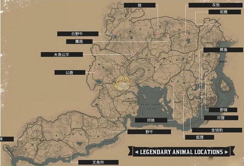 荒野大镖客2传说美洲狮位置攻略，速查秘境！