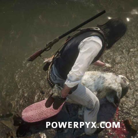 荒野大镖客2传说野猪位置攻略，速查！