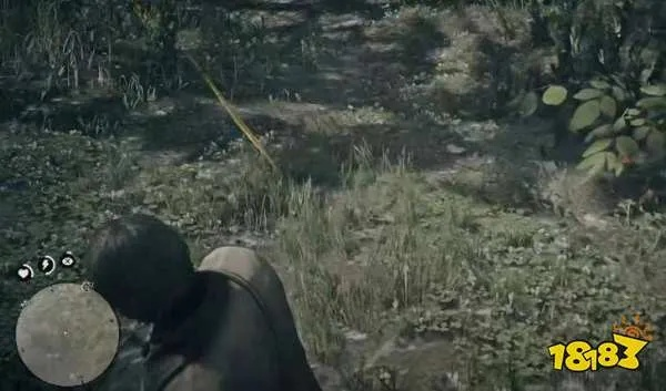 荒野大镖客2传说灰熊位置攻略，快速找到！