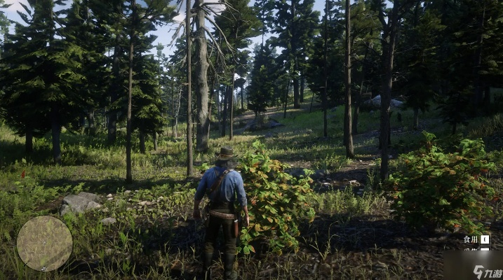 荒野大镖客2草药大师10挑战攻略全解析