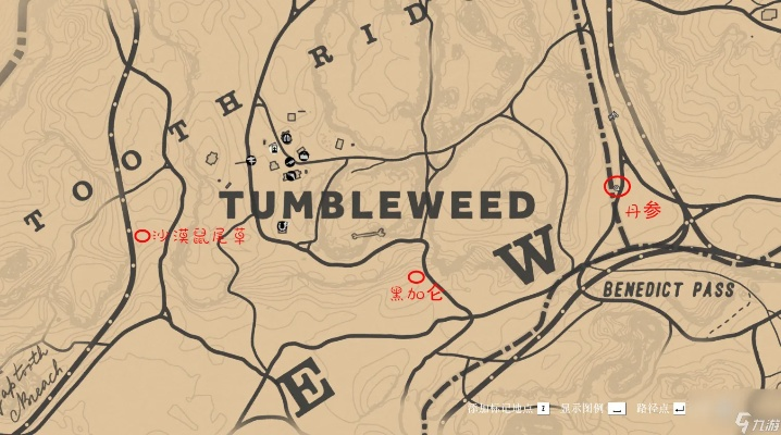 荒野大镖客2草药大师9挑战攻略全解析