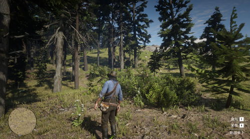 荒野大镖客2草药大师6挑战攻略，快速通关秘籍