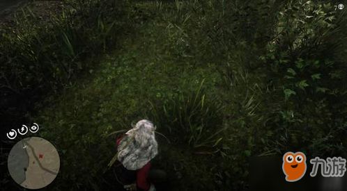 荒野大镖客2草药大师4挑战攻略，快速通关秘诀！