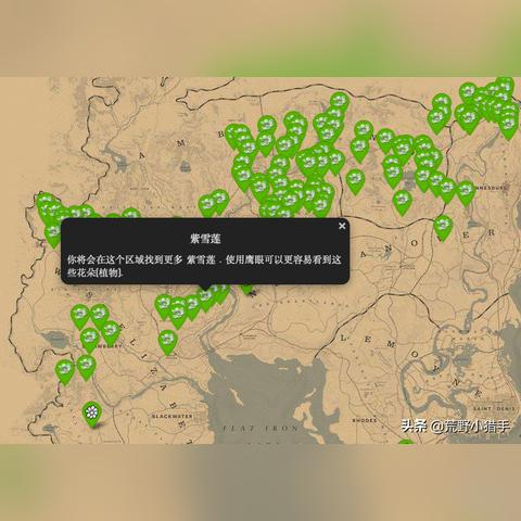 荒野大镖客2草药大师2挑战攻略，快速通关秘诀！