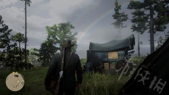 荒野大镖客2草药大师1挑战攻略，快速通关秘诀！