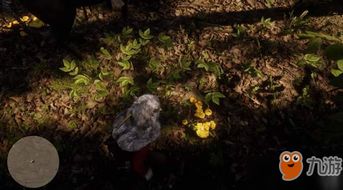 荒野大镖客2草药大师1挑战攻略，快速通关秘诀！