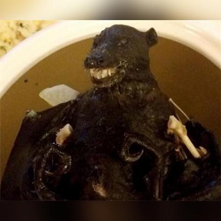 海龟汤题目答案全套，速看最新解析！