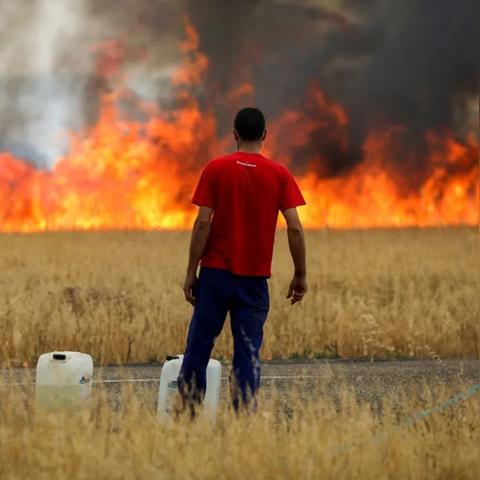 史上10个最细思极恐海龟汤揭秘