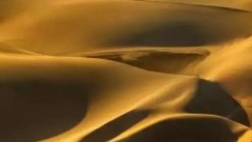 《海龟汤》100题答案恐怖揭秘！