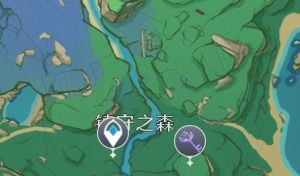 原神稻妻地灵龛10位置图揭秘！