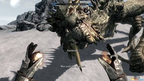 上古卷轴5龙吼之道攻略：快速通关秘籍！