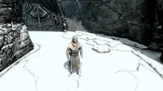 上古卷轴5诺德人玩法攻略：技巧全解析