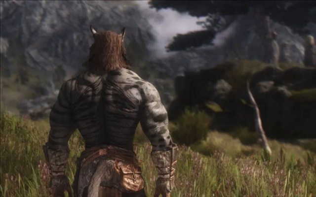 上古卷轴5虎人攻略：独家技巧，快速上手！