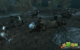 上古卷轴5控制台代码汇总，实用技巧大揭秘