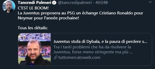 《巫师4》发售延至2027？CDPR财报会议透露真相！