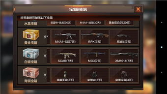 CS2箱子掉落攻略：快速获取秘籍