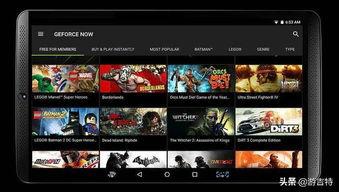 英伟达GeForce Now新增12款游戏，含热门模拟游戏《inZOI》