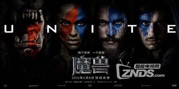 魔兽世界：狂潮来袭！坐骑竞拍，金币上限值挑战！