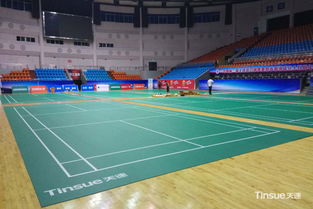 体育馆：翻新（Sports: Renovations）全新上线Steam