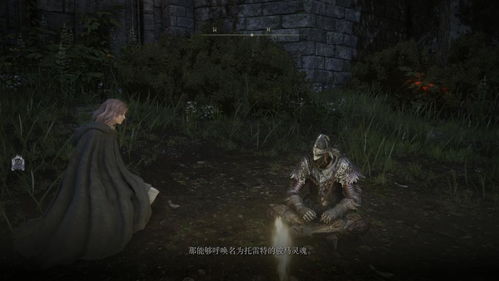 《老头环》新测试数据曝光 玩家惨遭暴击