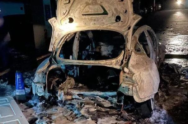 特斯拉暴力破坏升级，意大利17台电车遭全毁