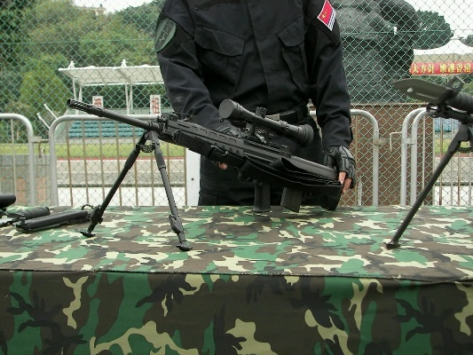 全球使命3国威QBU88狙击利器