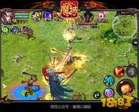 新年兽伤害爆表 魔域口袋版蛇年兽攻略