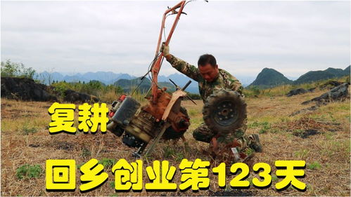 泡泡先锋农田开垦技巧