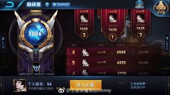 巅峰对决：谁是王者之巅最强英雄