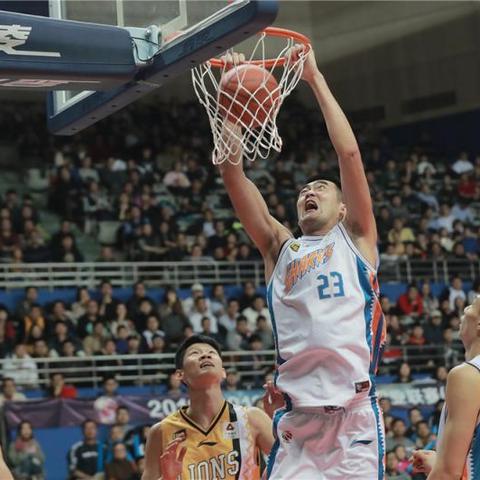 小鲨鱼全部结局解析