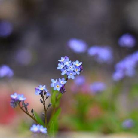 咸鱼之王2024元旦活动攻略