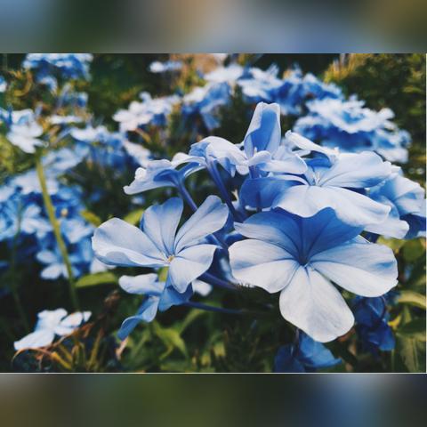 咸鱼之王2024元旦活动攻略