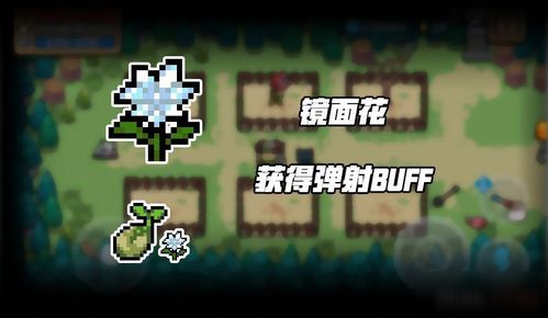 元气骑士前传种植成熟时间