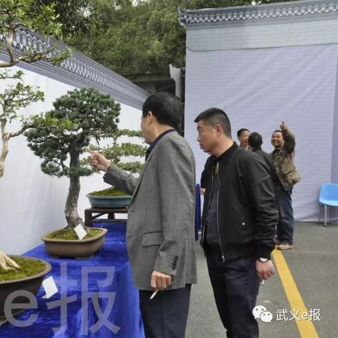 江南百景图小灯笼位置揭秘