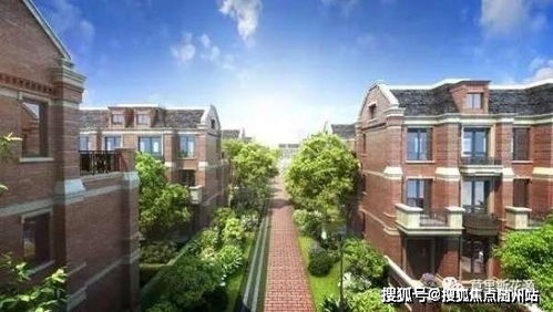 咸鱼之王姜维攻略：核心打法解析