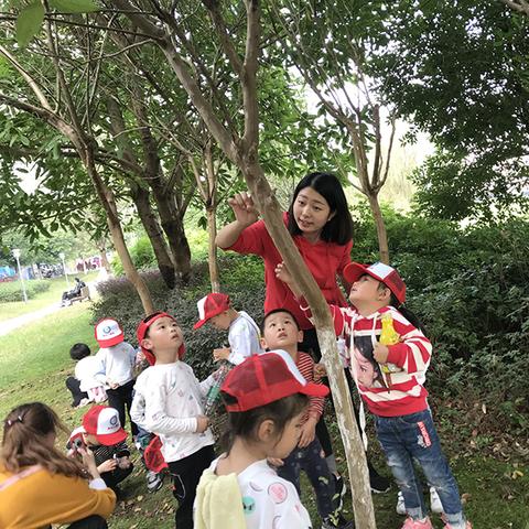 寻找神秘乐趣：集体照大揭秘！