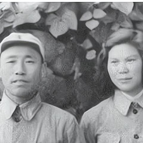 王小屋屋屋保卫战攻略：高效扫荡秘籍