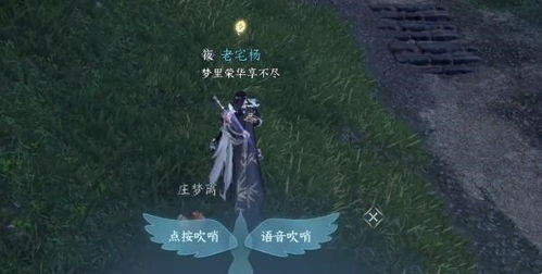 逆水寒手游双人轻功成双获取攻略